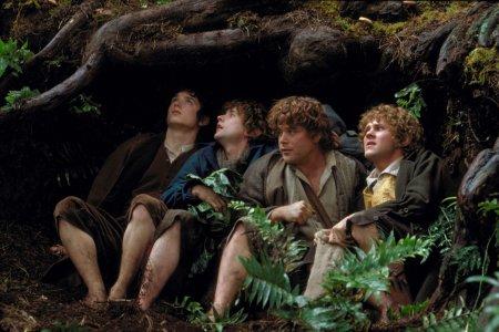 lord of the ring